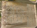 image of grave number 808869
